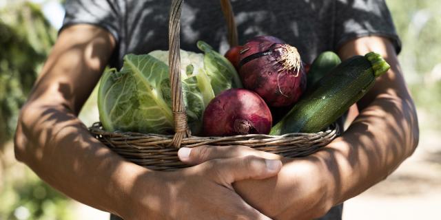 Jeune Homme avec un panier de légumes