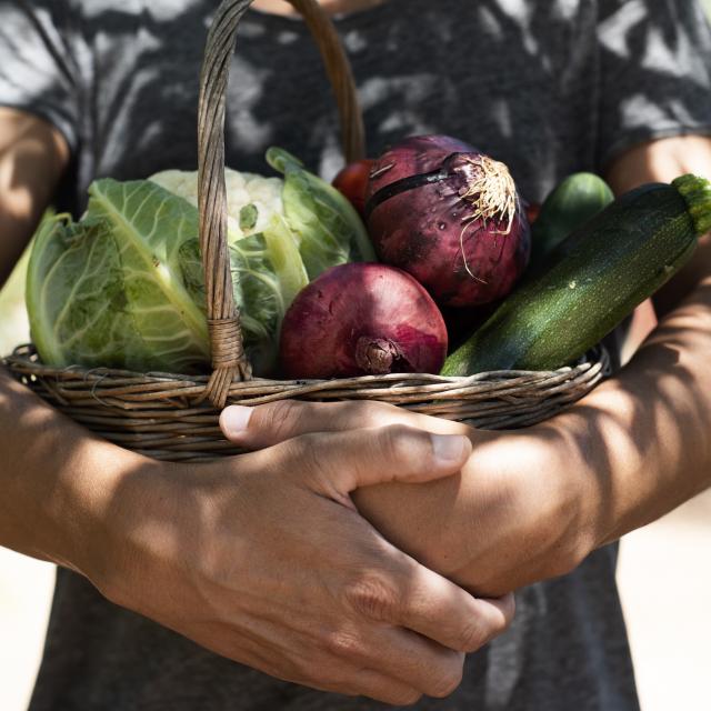 Jeune Homme avec un panier de légumes