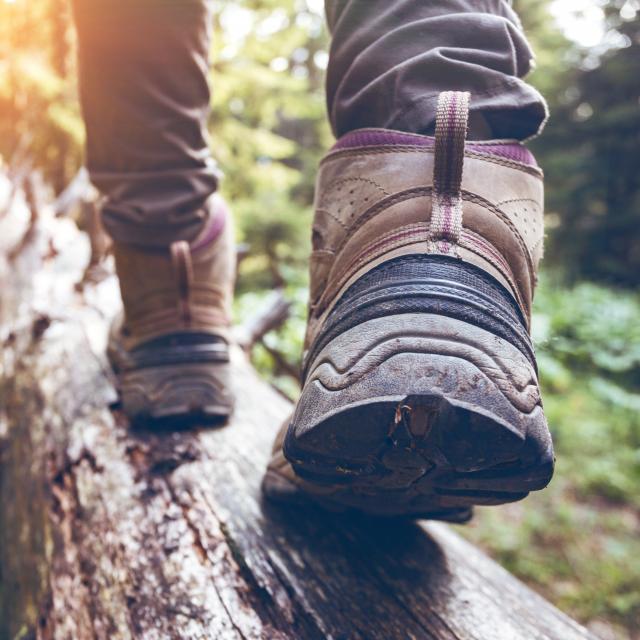 Randonnée en pleine nature