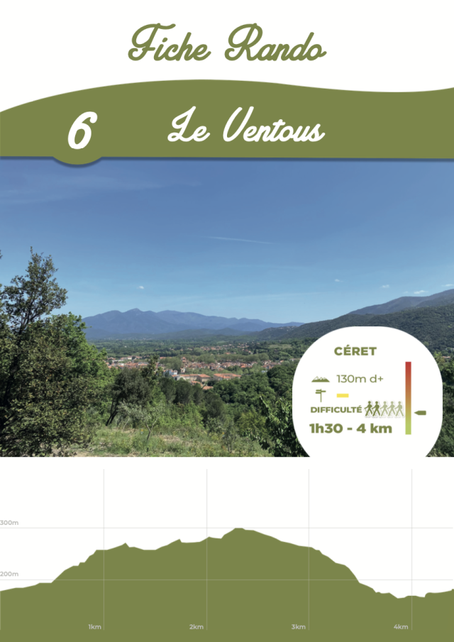 Fiche 6 : Le Ventous