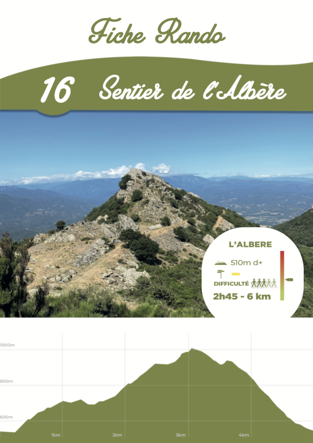 Fiche 16 : Sentier de l'Albère