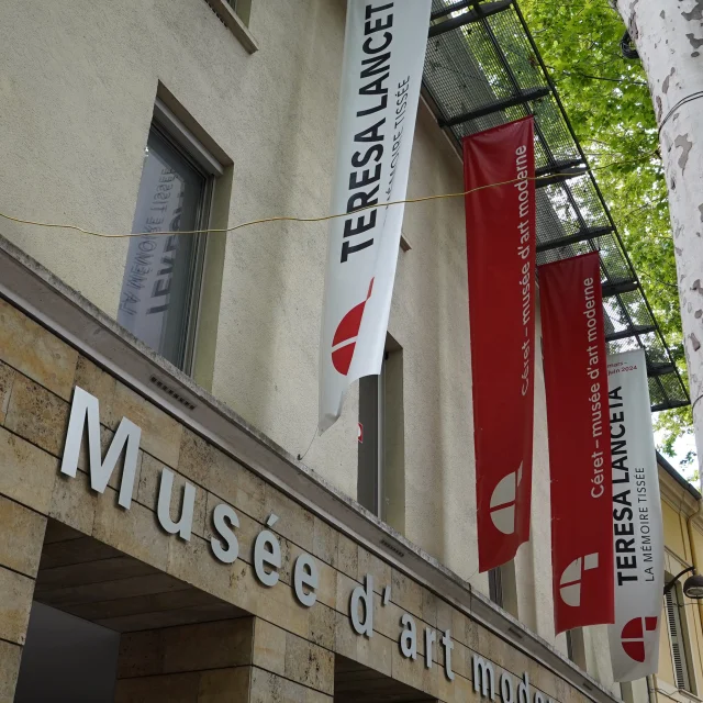 musée art moderne de céret